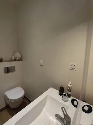 Apartment Du Chastenoy - Vieille Stanislas